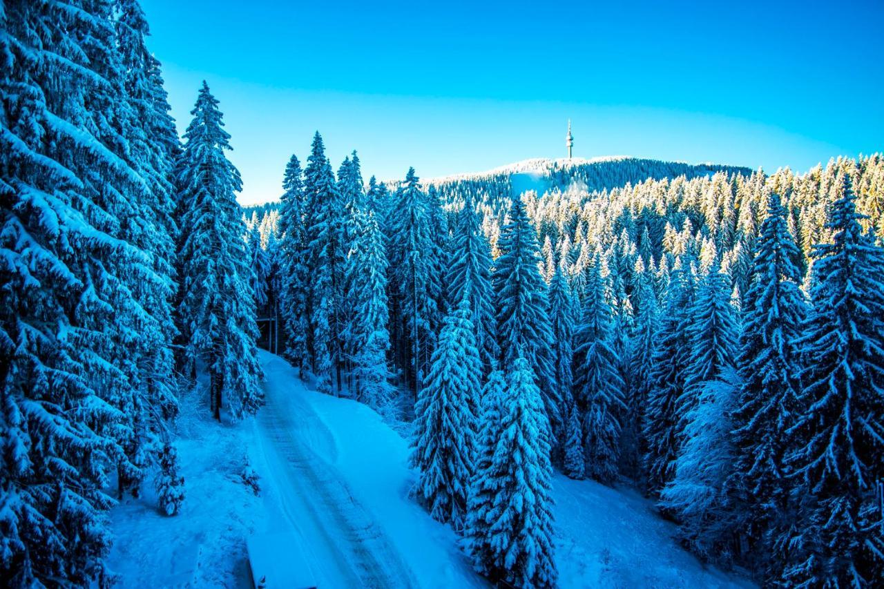 Sunny Hills Ski&Wellness Pamporovo Exterior photo