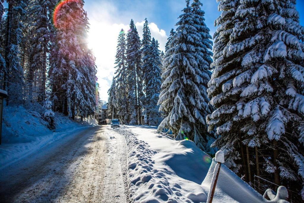 Sunny Hills Ski&Wellness Pamporovo Exterior photo